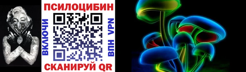Псилоцибиновые грибы Cubensis  даркнет как зайти  Приозерск 